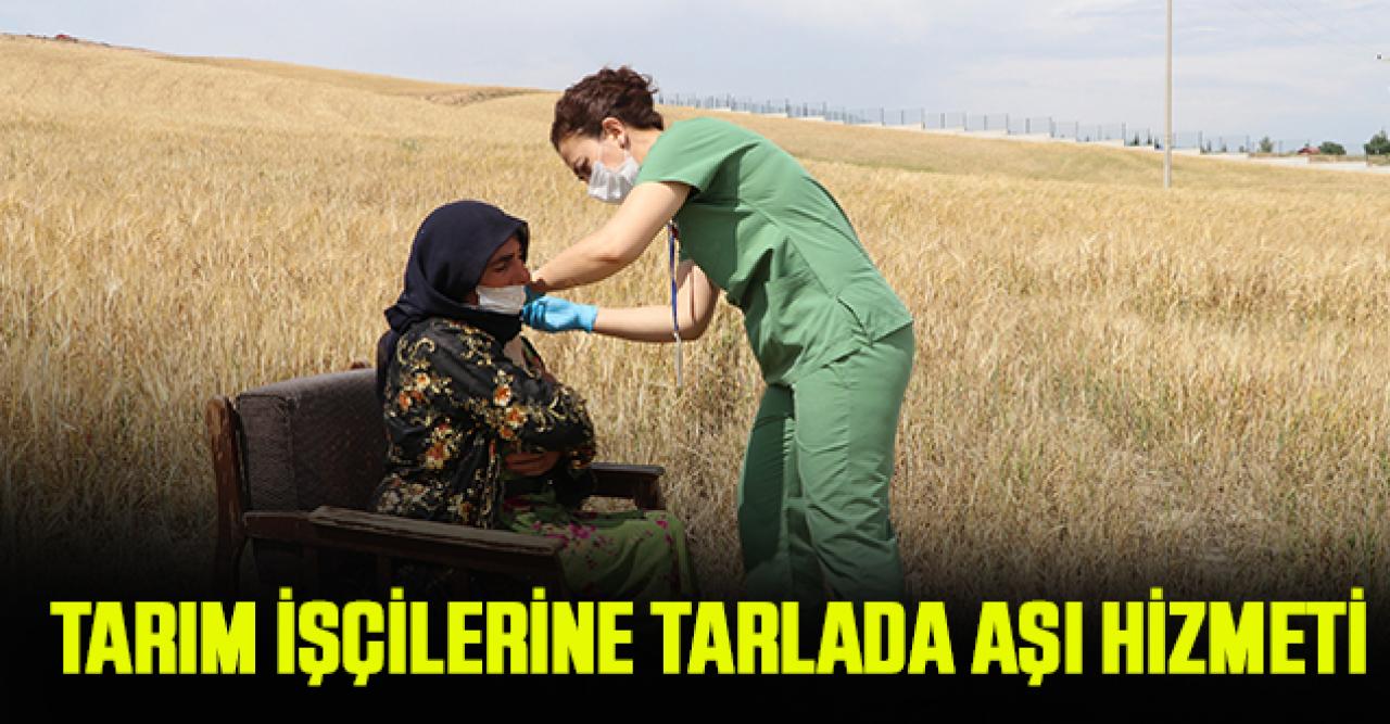 Ankara'da tarım işçilerine tarlada aşı