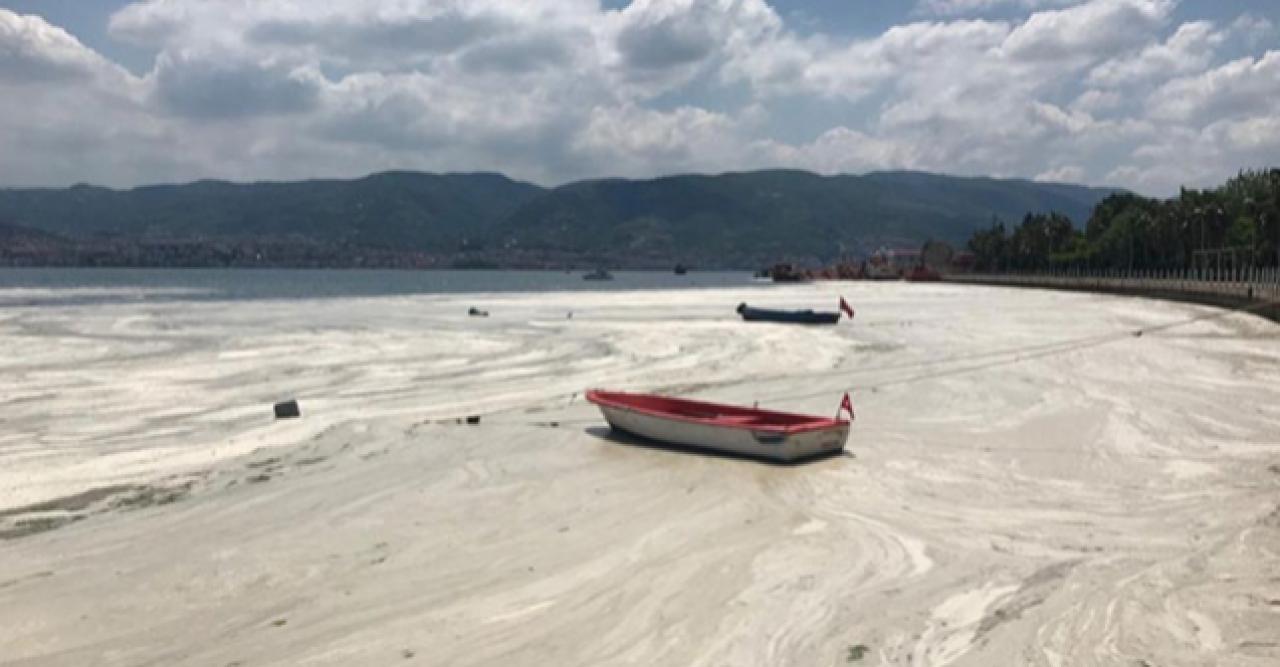 Bakan Kurum: Marmara Denizi'nde 10 bin 434 metreküp müsilajı temizledik