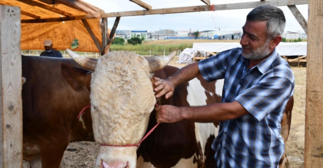 Silivri Belediyesi'nden 95 kurban satış yeri