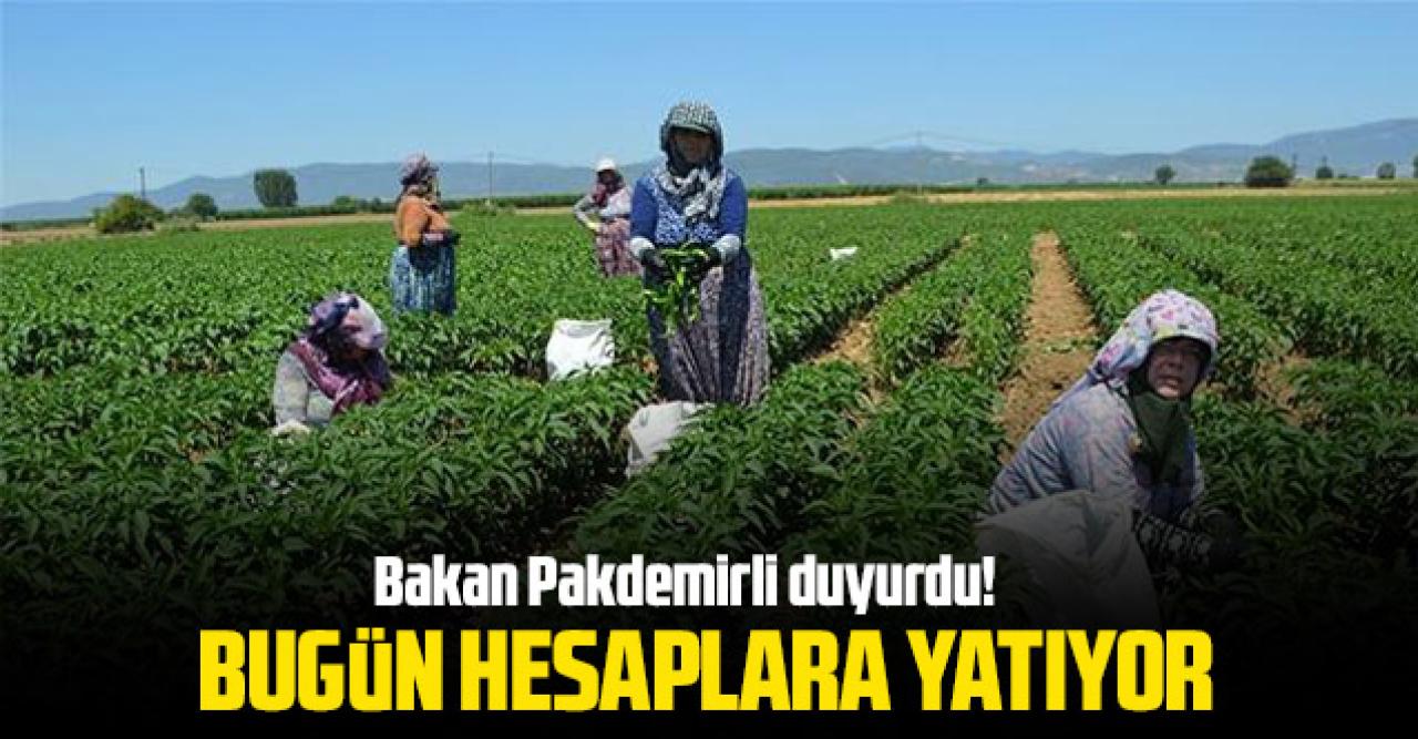 Bakan Pakdemirli: Üreticilere 420,5 milyon liralık destek ödemelerine başlıyoruz