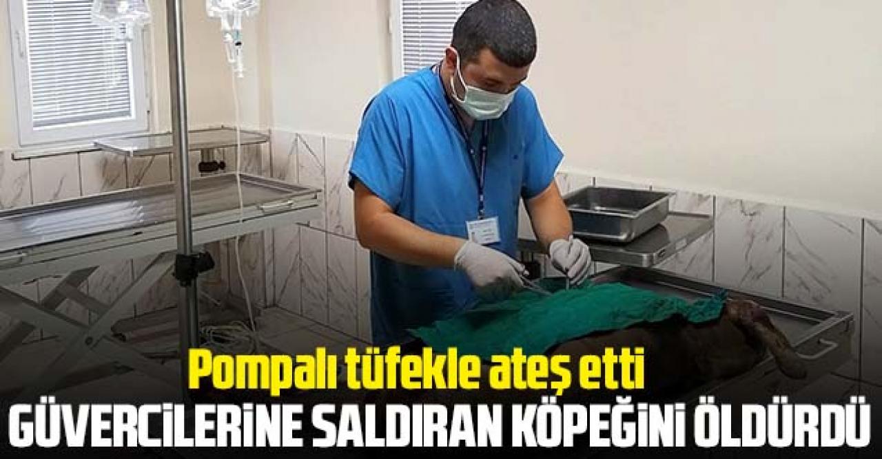 Feridun Ortayol güvercinlerine saldıran köpeğini öldürdü