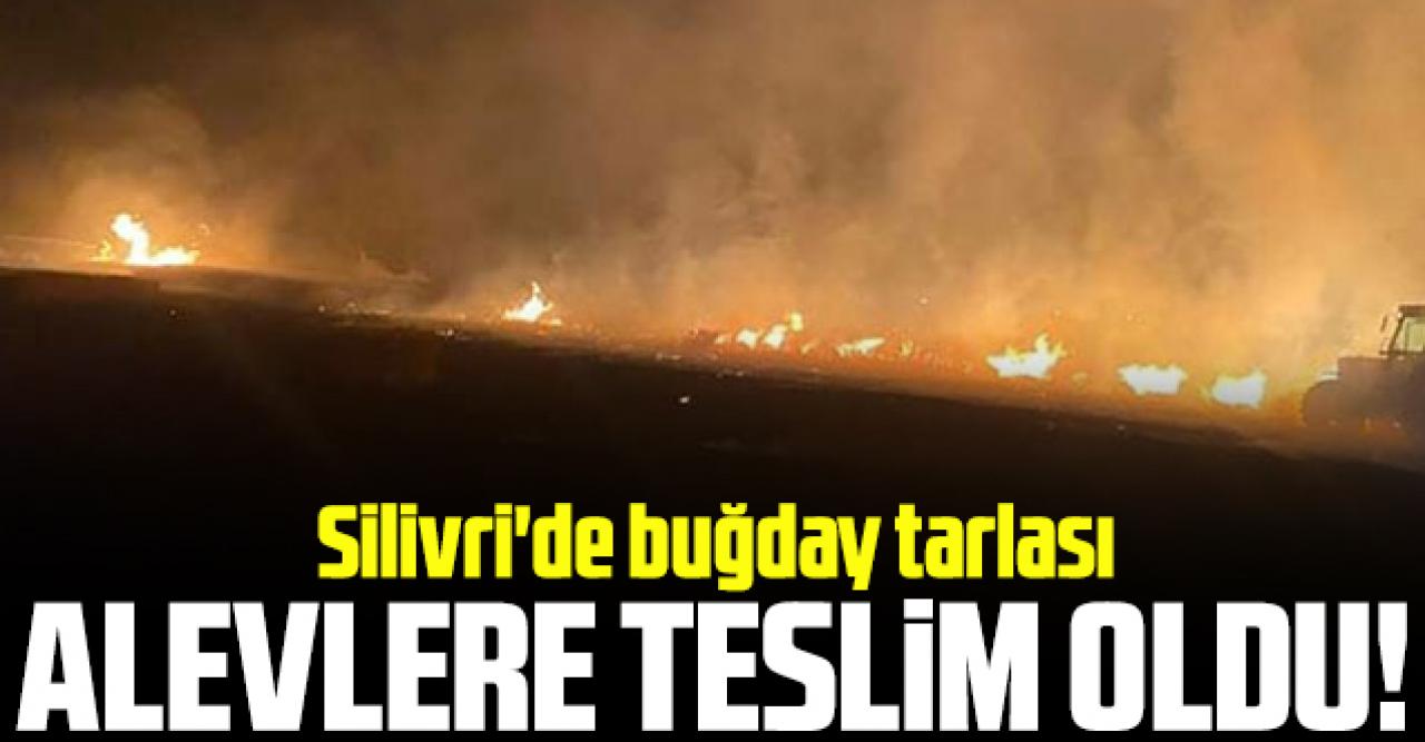 Silivri'de buğday tarlası yandı!