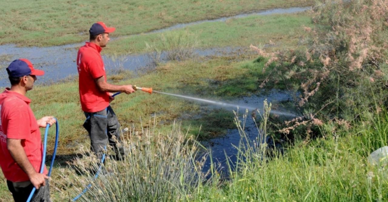 Sivrisinek ısırıkları için uzmanlar uyardı: Bataklıklar kurutulmalı