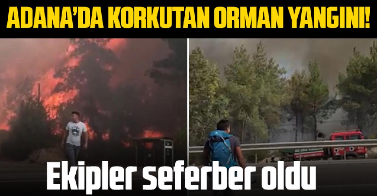 Adana'nın 2 ilçesinde korkutan orman yangını! Ekipler seferber oldu