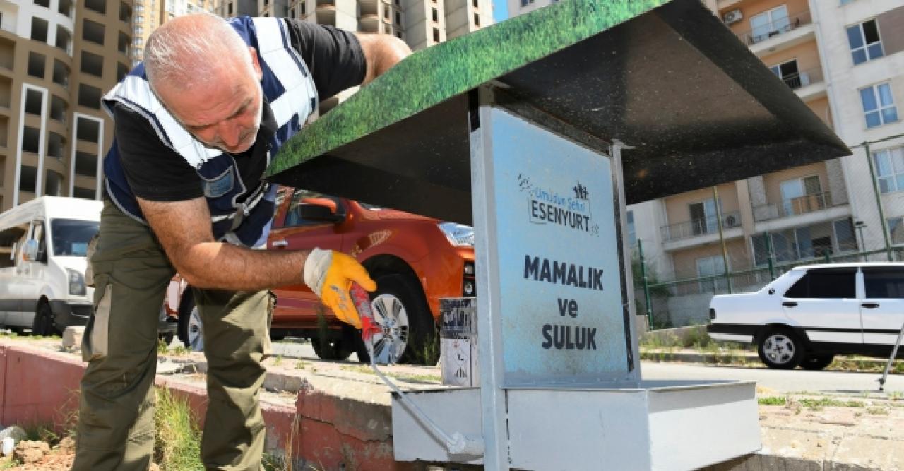 Esenyurt'ta hayvanlar için önemli çalışma