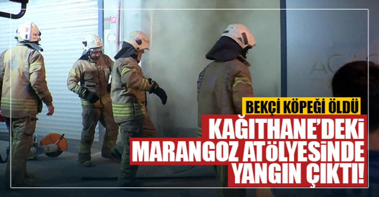 Kağıthane'deki yangında bekçi köpeği öldü