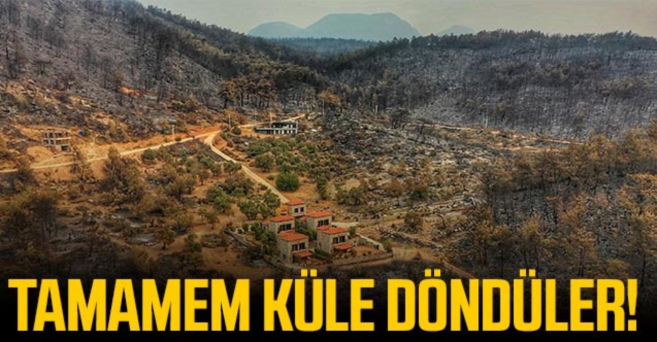 Bodrum ve Milas'ta yanan alanlar küle döndü