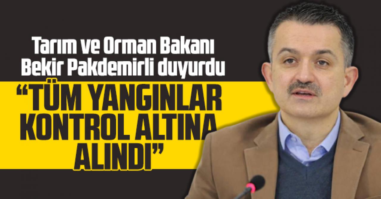 Bekir Pakdemirli: Köyceğiz kontrol altına alındı