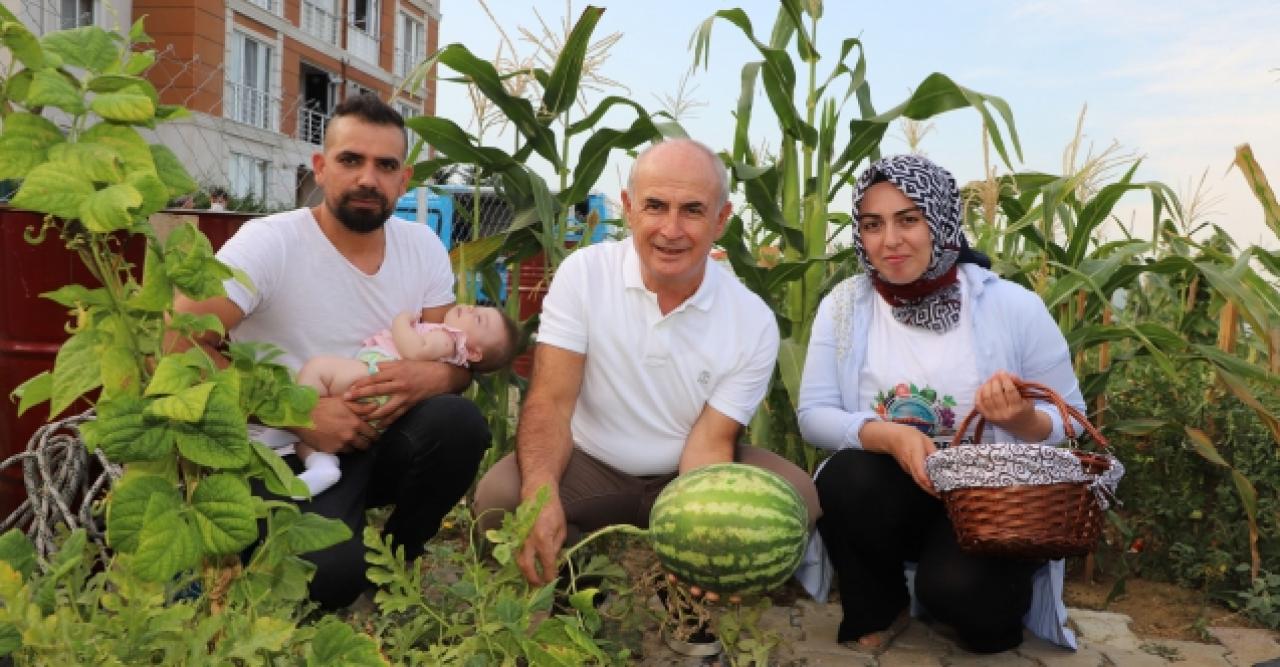 Büyükçekmece’de kent tarımı uygulaması mahallelere yayılıyor