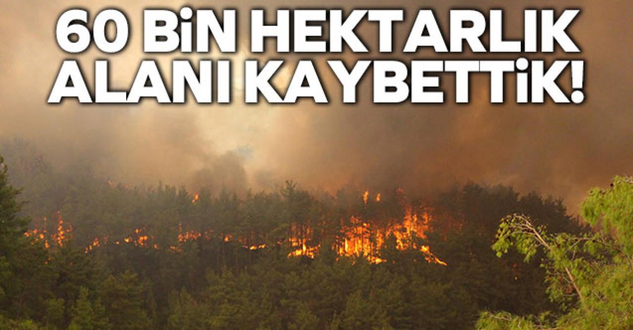 60 bin hektarlık alanı kaybettik!