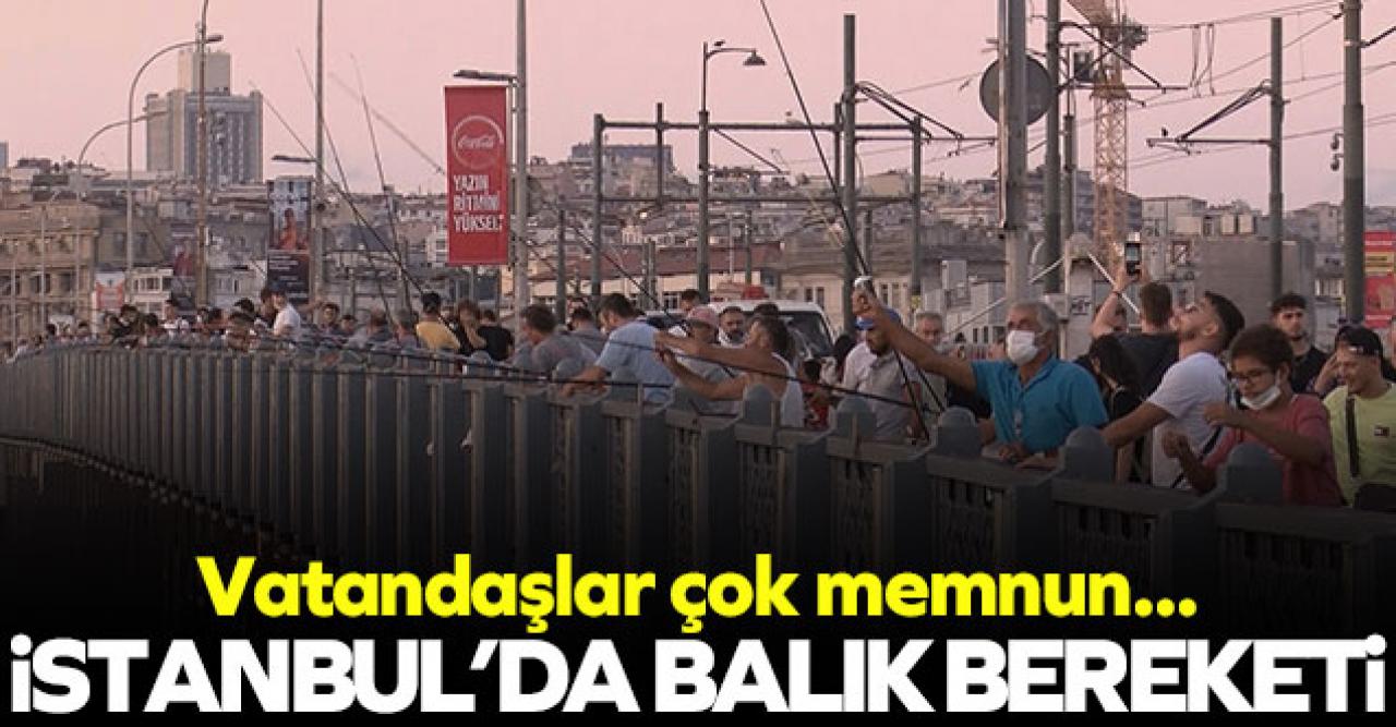 Galata Köprüsü'nde balık bereketi