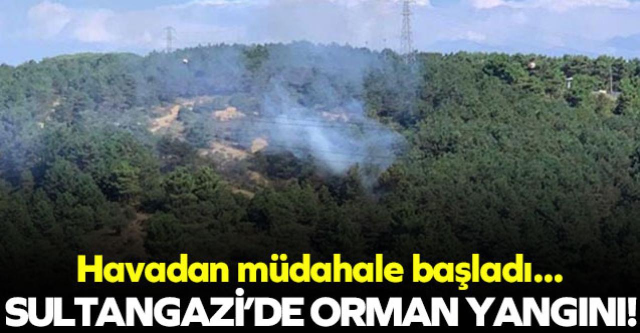 Sultangazi'de orman yangını