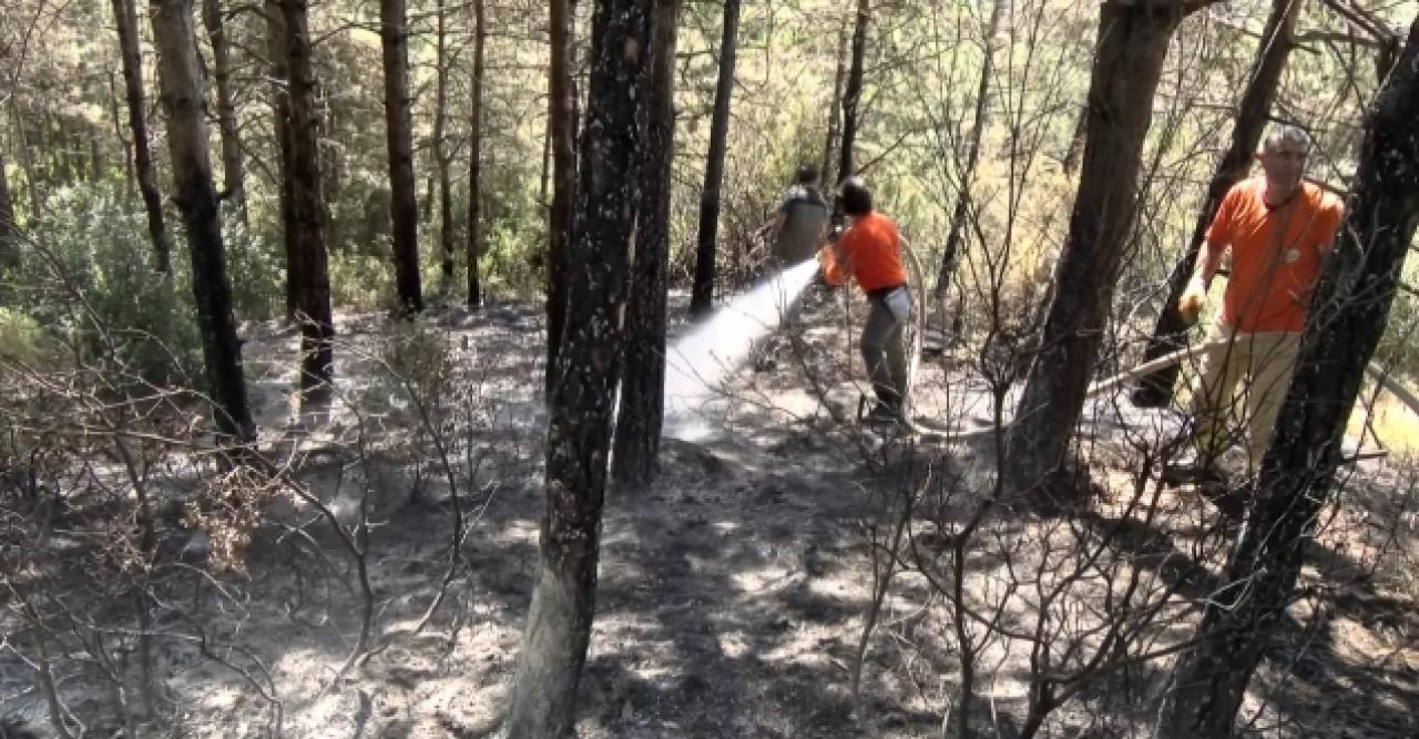 Sultangazi'de orman yangını söndürüldü