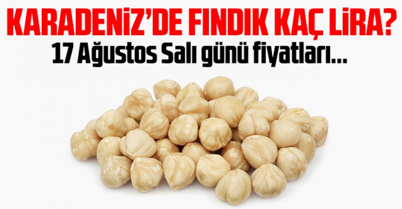 17 Ağustos 2021 Salı fındık fiyatları | Fındık kaç lira? Trabzon, Giresun, Ordu, Sakarya fındık fiyatları