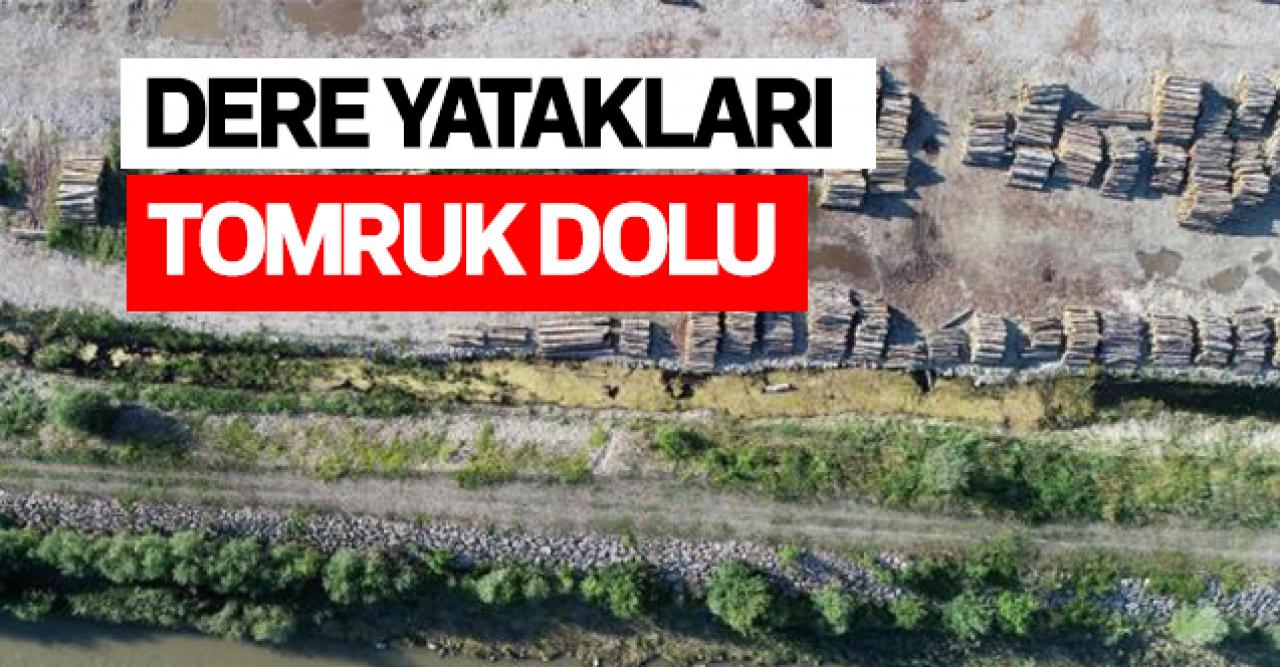 Batı Karadeniz'de dere kenarları tomruk dolu