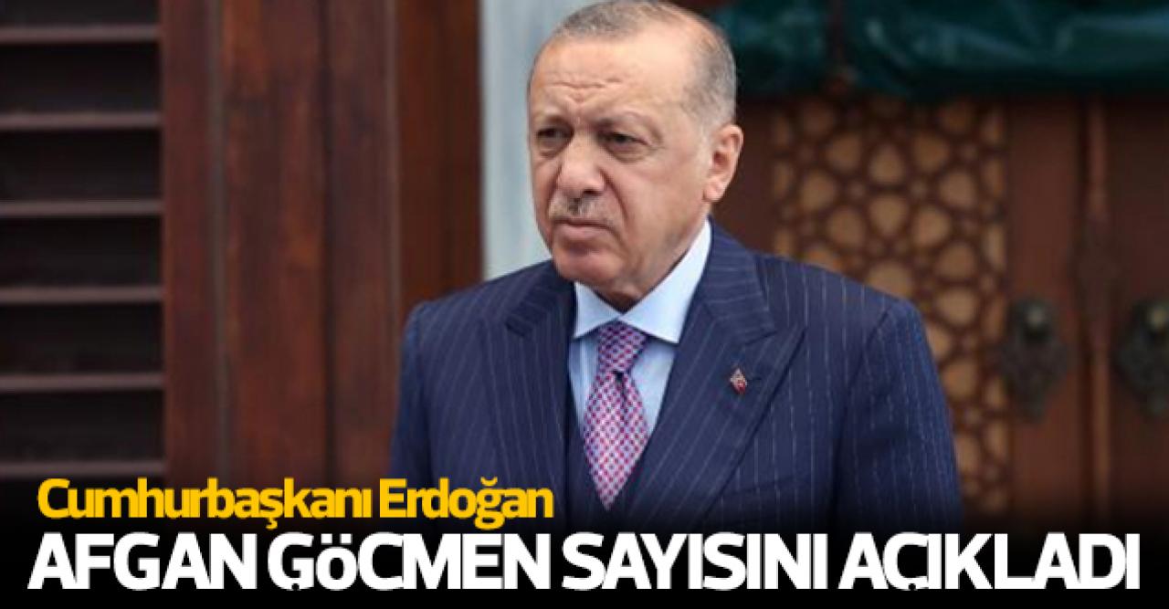 Cumhurbaşkanı Erdoğan Türkiye'de yaşayan Afganistanlı göçmen sayısını açıkladı