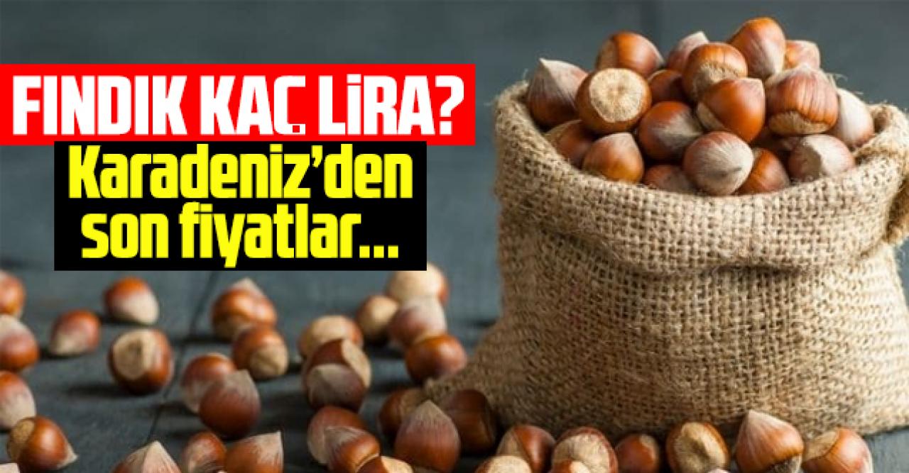 27 Ağustos 2021 Cuma fındık fiyatları | Fındık kaç lira?