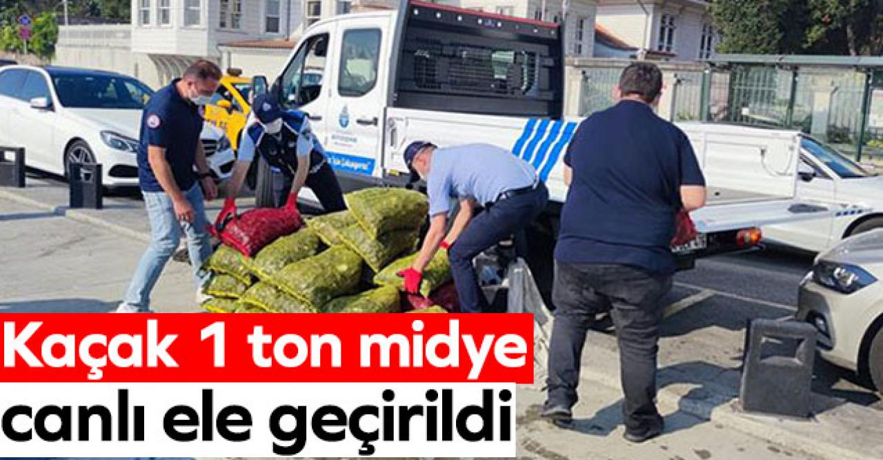 Sarıyer'de kaçak avlanan 1 ton midye ele geçirildi