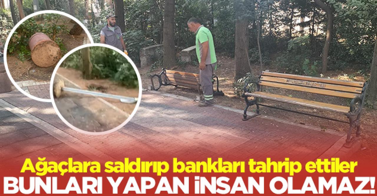 Bunları yapan insan olamaz! Beylikdüzü'ndeki parkta ağaçlara saldırıp bankları tahrip ettiler