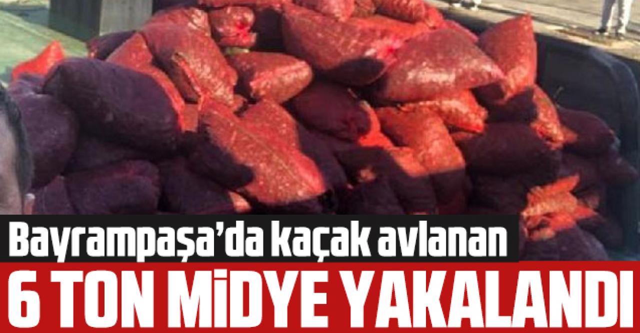 Bayrampaşa'da kaçak avlanan 6 ton midye yakalandı