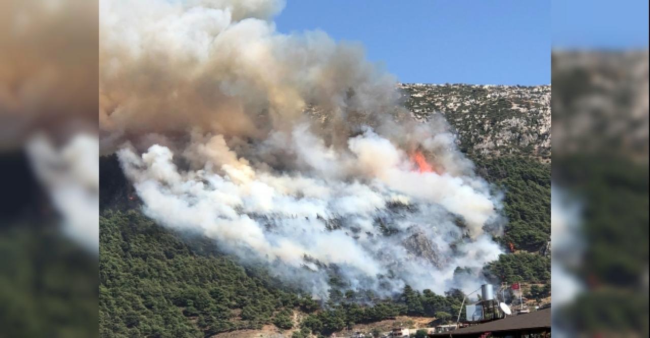 Hatay'da orman yangını