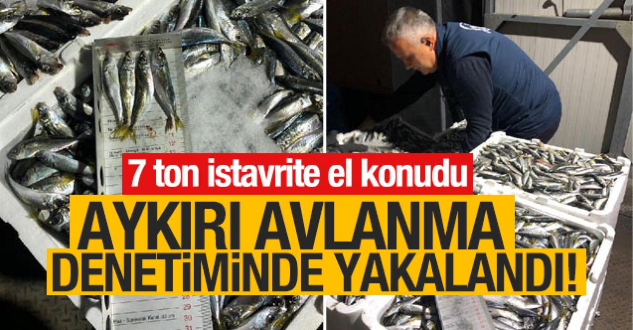 Aykırı avlanma denetiminde 7 ton istavrite el konuldu