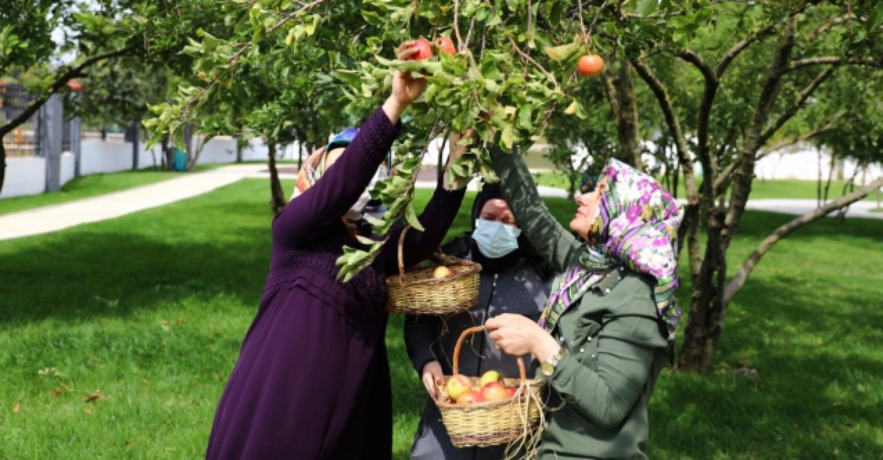 Tapu ve mülkiyet sorunu çözülüyor