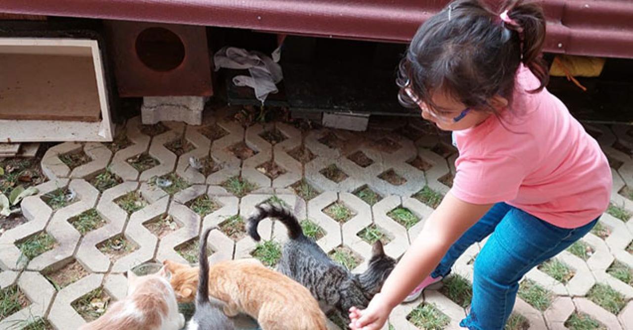 Kartal'da kreşli minikler sevimli dostlara mama dağıttı