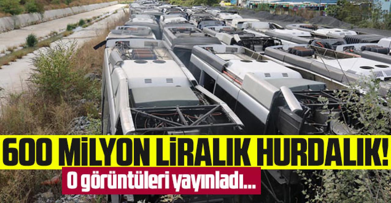 600 milyonluk hurdalık! İBB, çürümeye terkedilen 50 otobüsün fotoğrafını paylaştı