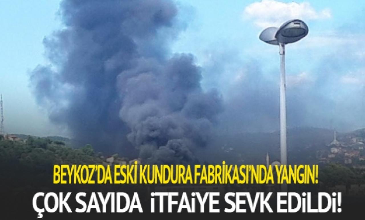 Beykoz'da eski kundura fabrikasında yangın