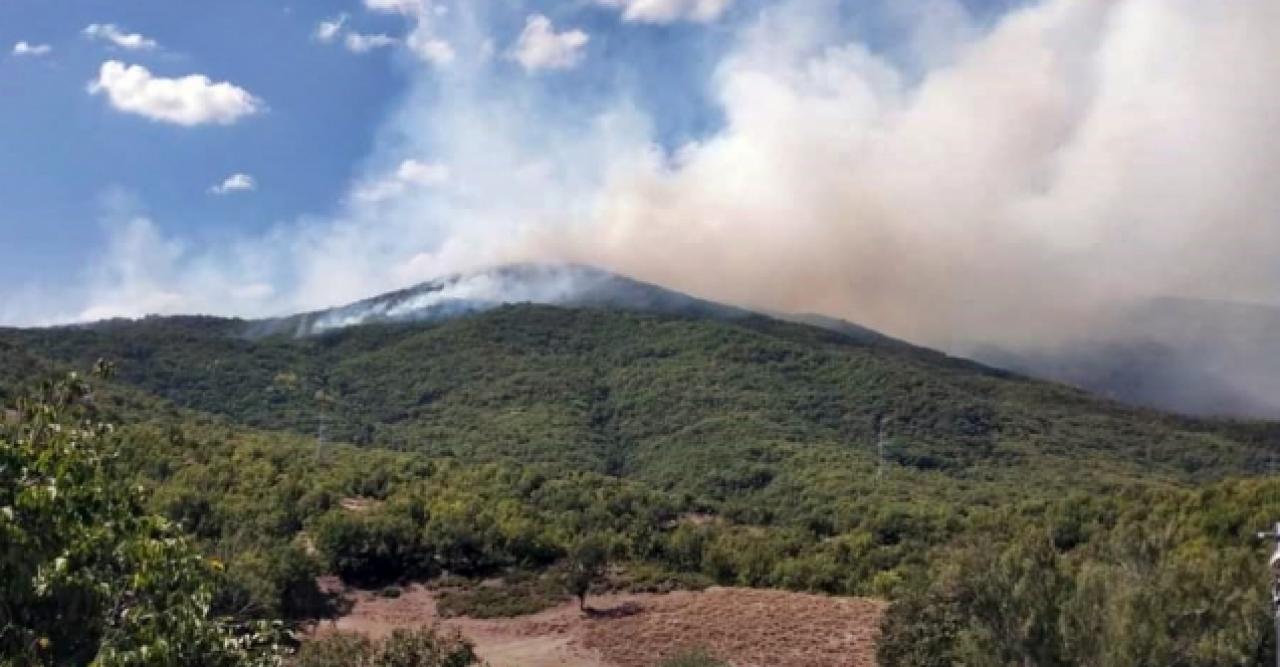 Tunceli'de örtü yangını