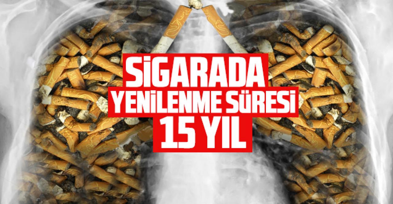 Sigarada vücudun yenilenme süresi 15 yıl!