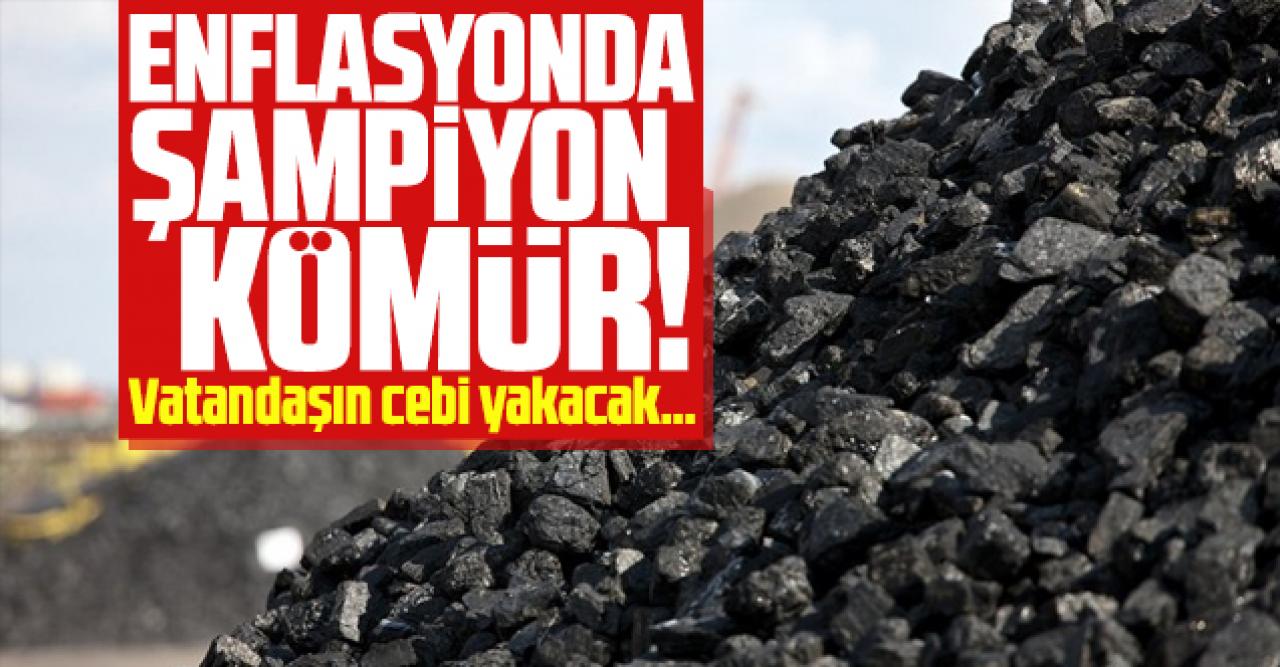 Eylül ayının enflasyon şampiyonu kömür