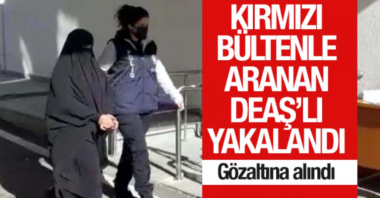 Kırmızı bültenle aranan DEAŞ'lı Ankara'da yakalandı