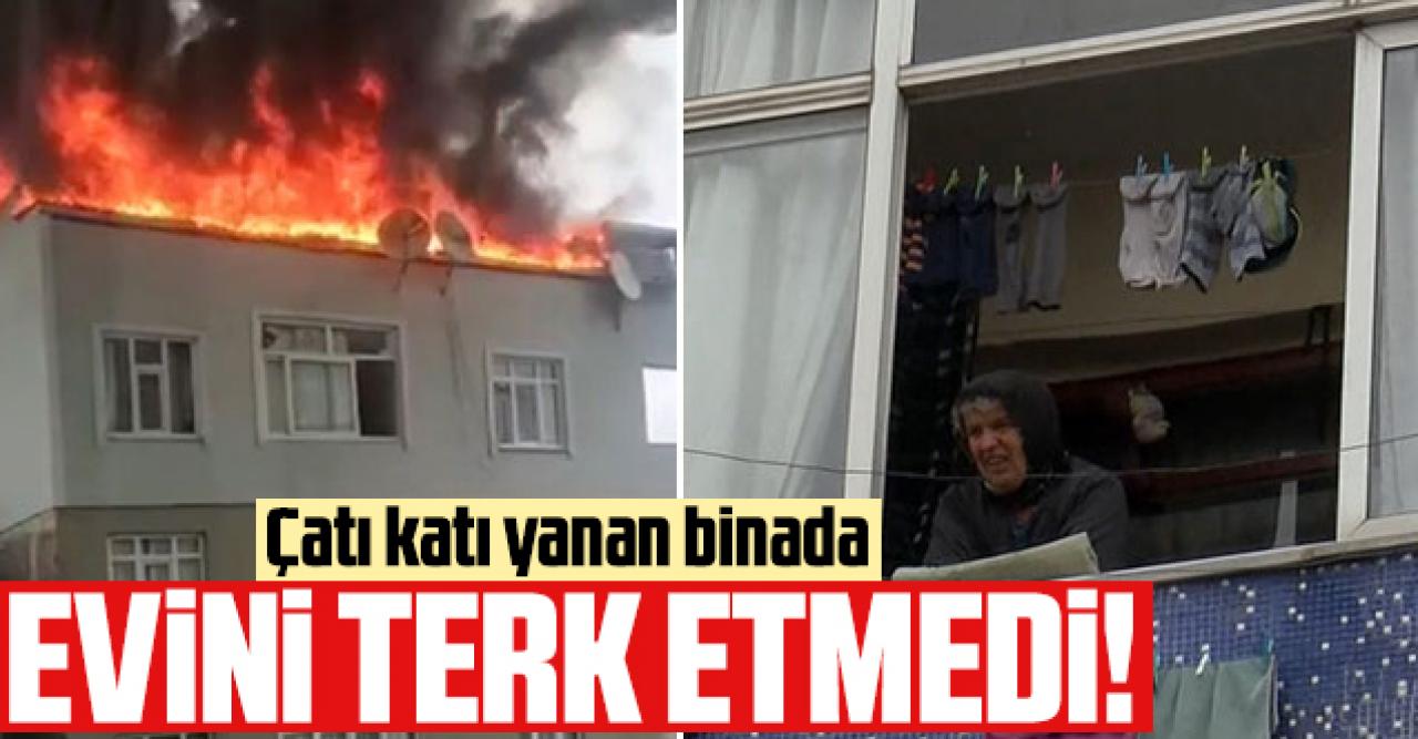 Çatısı alev alev yanan binanın 5. katından çıkmadı!