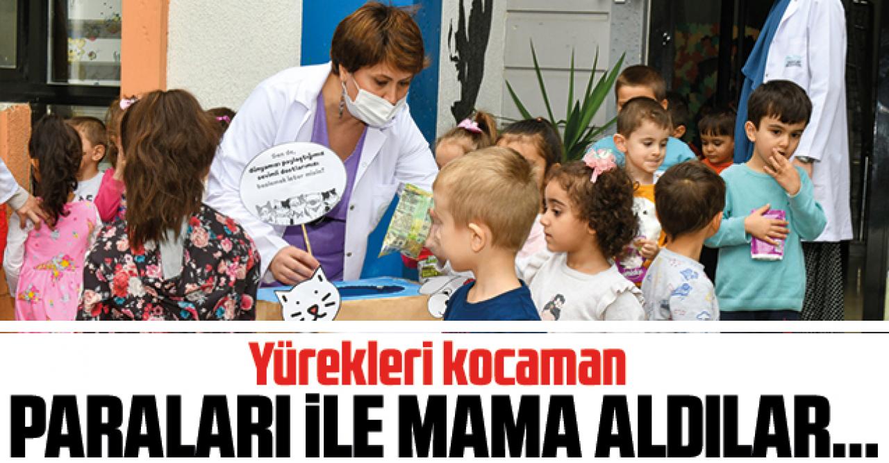 Harçlıkları ile mama aldılar!