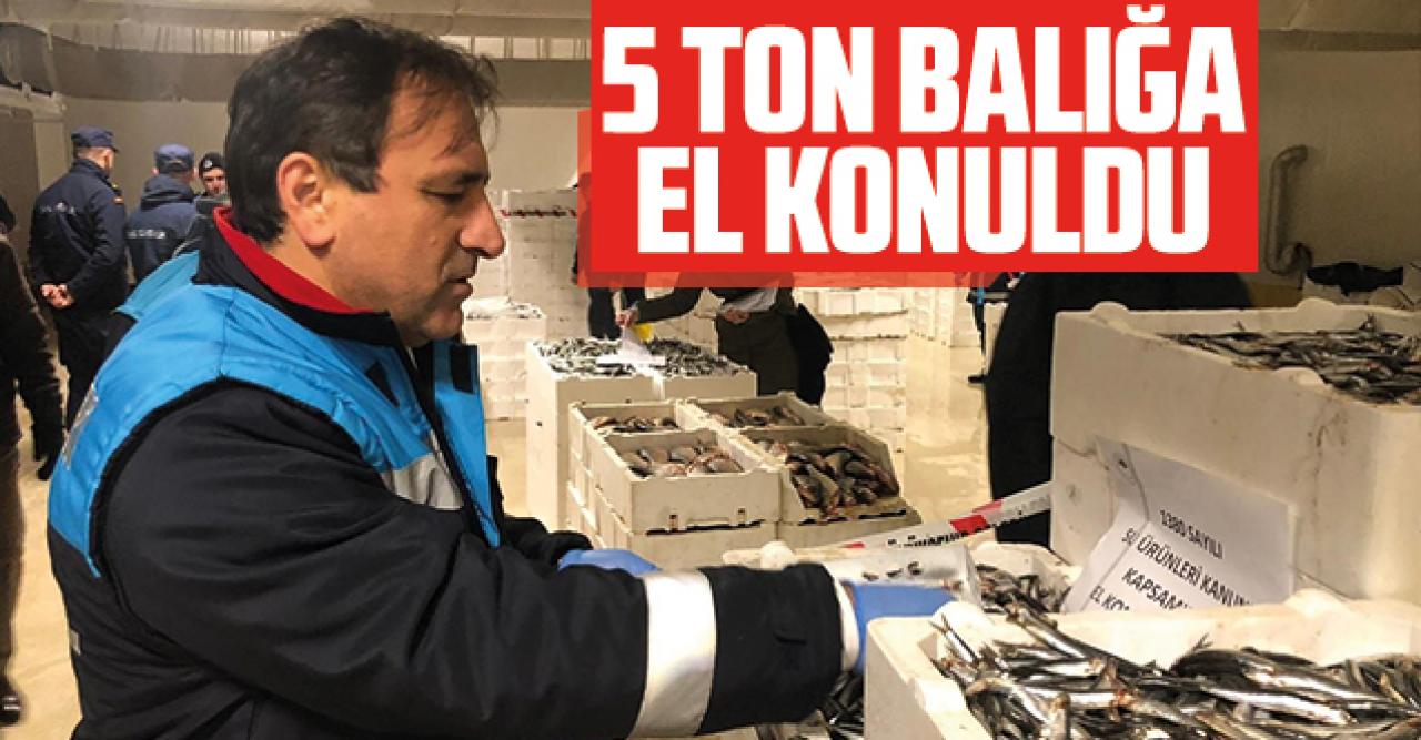 5 ton balığa el konuldu