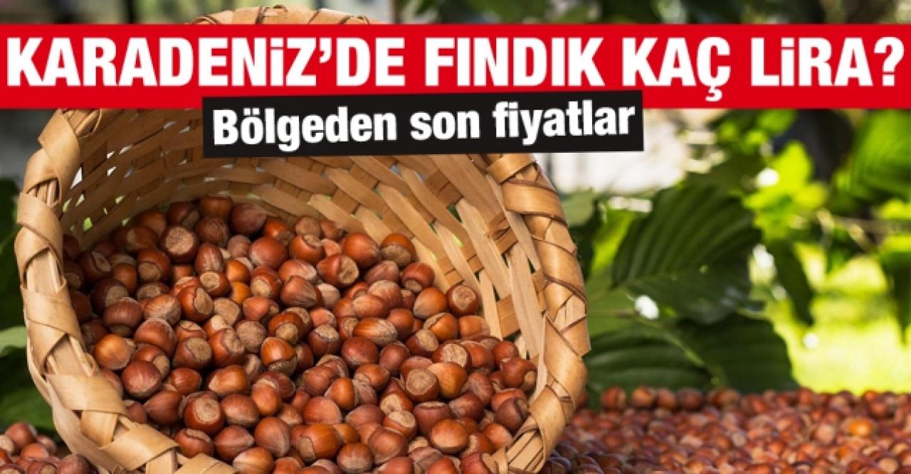 14 Ekim 2021 Perşembe fındık fiyatları | Fındık kaç lira? Güncel fındık fiyatı