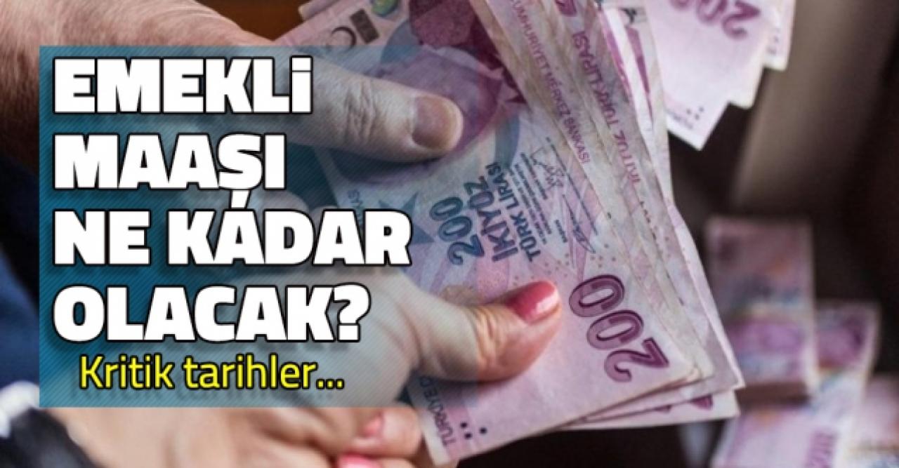 Emekli maaşı kaç lira olacak? Kritik tarihler bekleniyor...