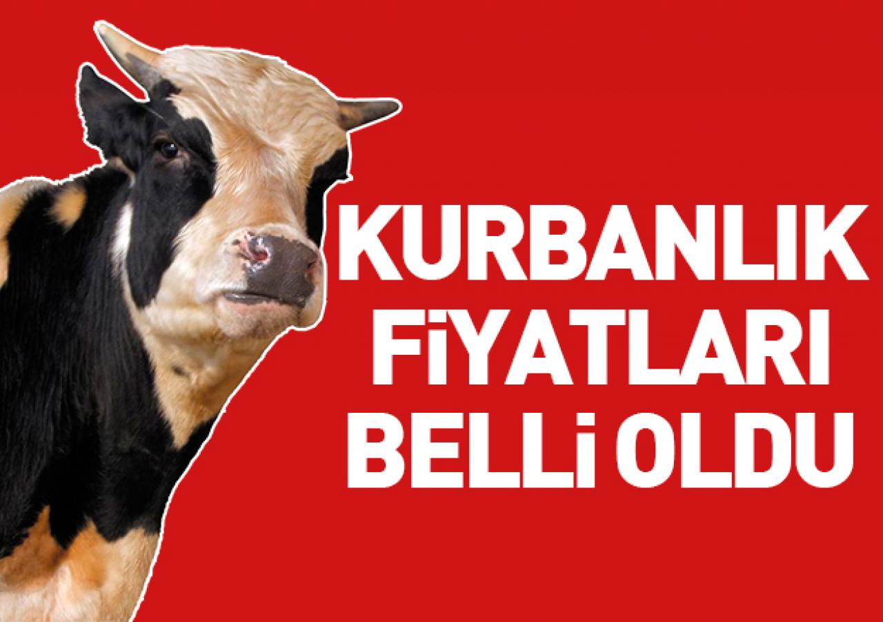 2018 Kurbanlık fiyatları belli oldu! Kurban eti kilosu kaç lira