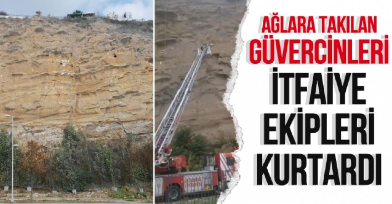 Silivri'de çelik ağlara takılan güvercinleri itfaiye ekipleri kurtardı