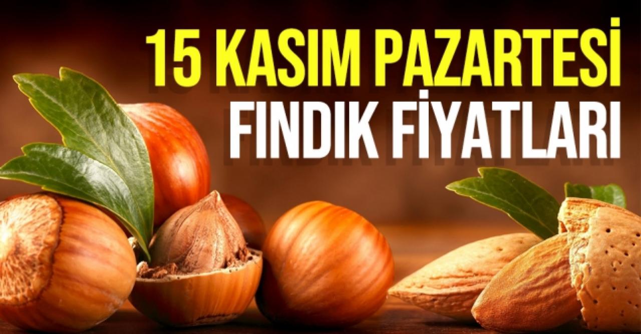 15 Kasım 2021 Pazartesi fındık fiyatları | Fındık kaç lira? Güncel fındık fiyatı