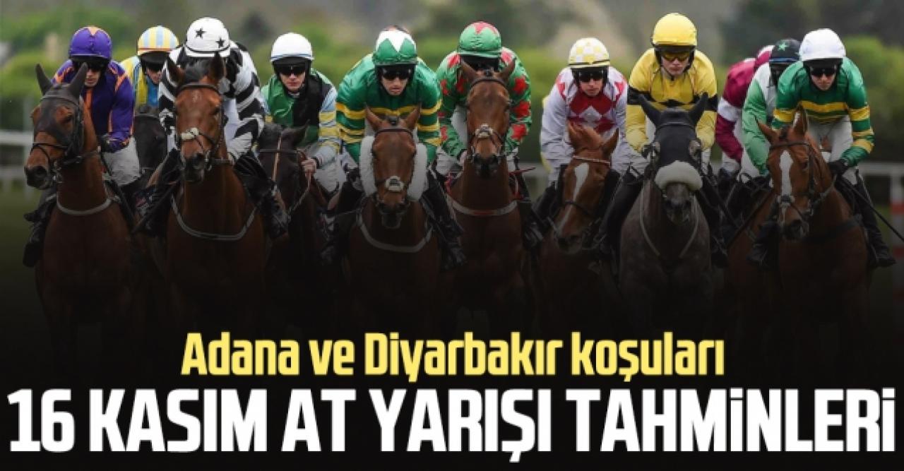 16 Kasım 2021 Salı Adana ve Diyarbakır At Yarışı Tahminleri ve Bülteni (izle)