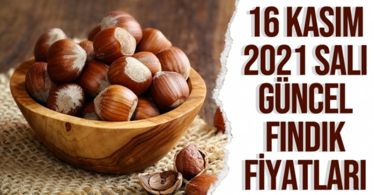 16 Kasım 2021 Salı fındık fiyatları | Fındık kaç lira? Güncel fındık fiyatı