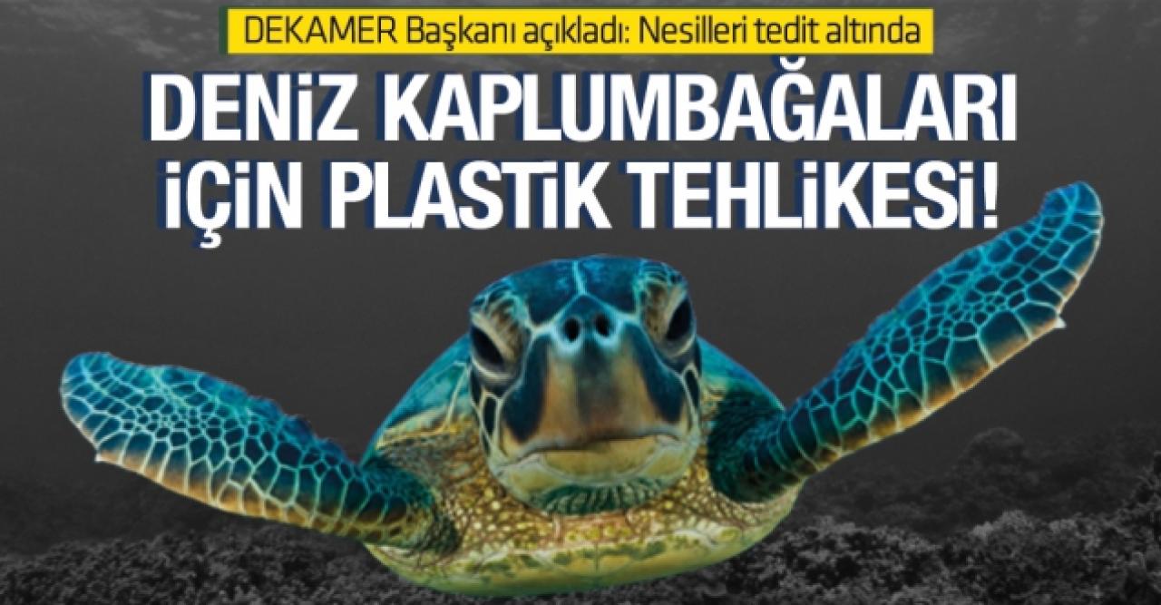 Deniz kaplumbağaları için plastik tehdidi