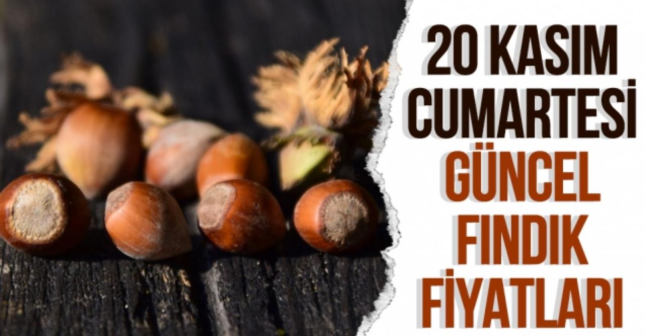 20 Kasım 2021 Cumartesi fındık fiyatları | Fındık kaç lira? Güncel fındık fiyatı