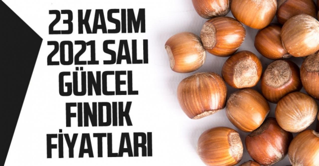 23 Kasım 2021 Salı fındık fiyatları | Fındık kaç lira? Güncel fındık fiyatı