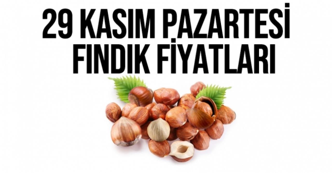 29 Kasım 2021 Pazartesi fındık fiyatları | Fındık kaç lira? Güncel fındık fiyatı