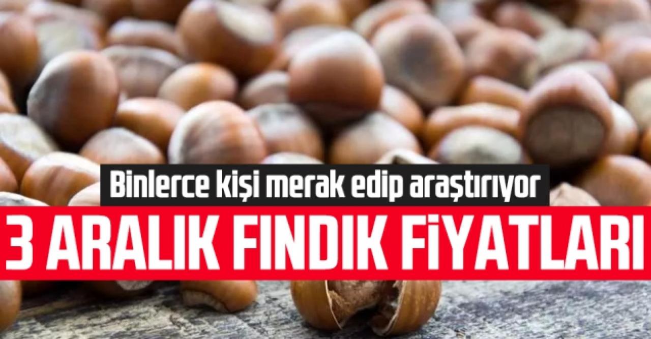 3 Aralık 2021 Cuma fındık fiyatları | Fındık kaç lira? Güncel fındık fiyatı