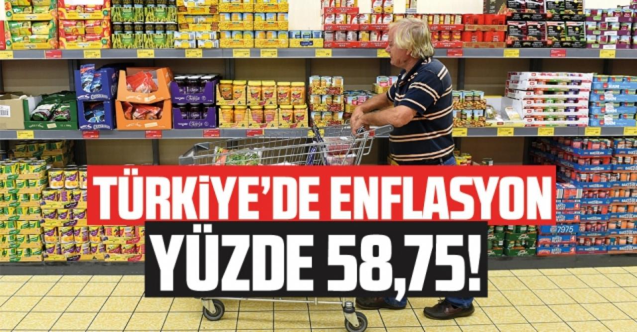 Dünyaca ünlü iktisatçı Hanke: Türkiye'de enflasyon oranı yüzde 58,75